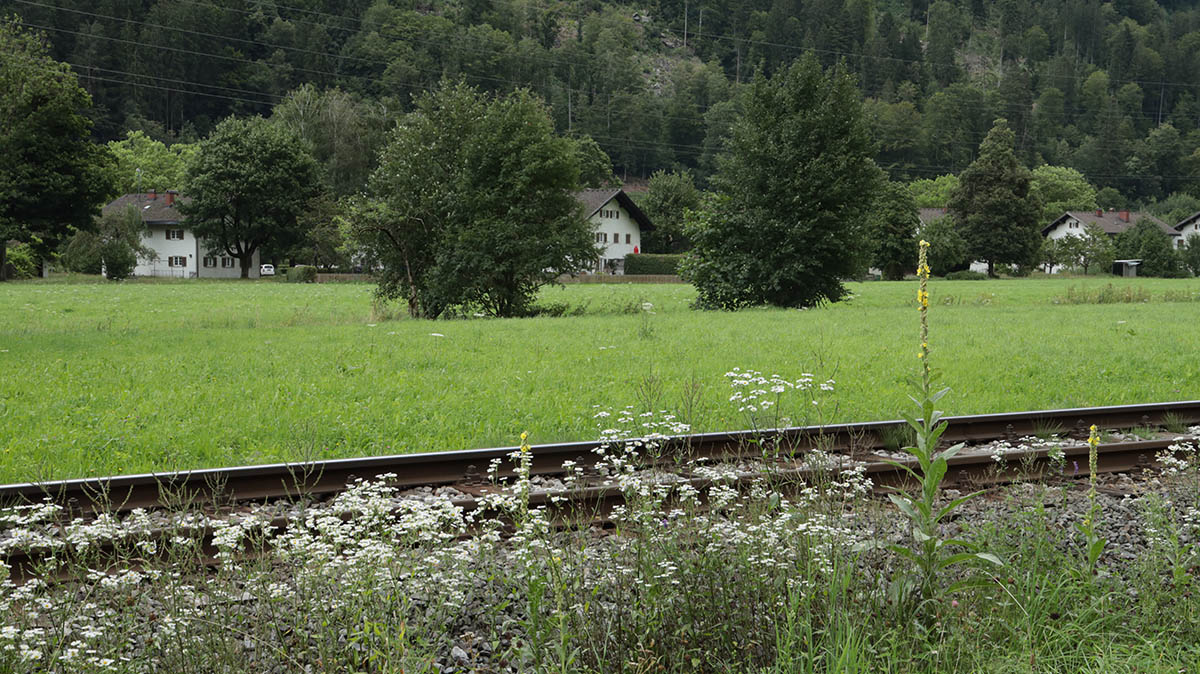 Kaltenbrunnen bij Schruns